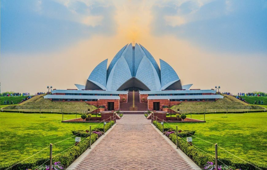 Adoption Companion SAA City Tour