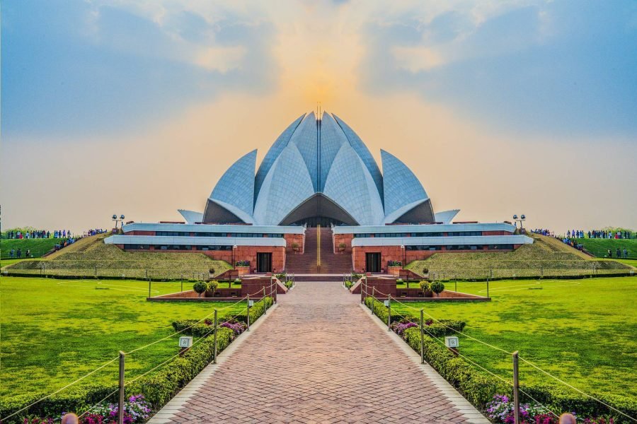 Adoption Companion SAA City Tour